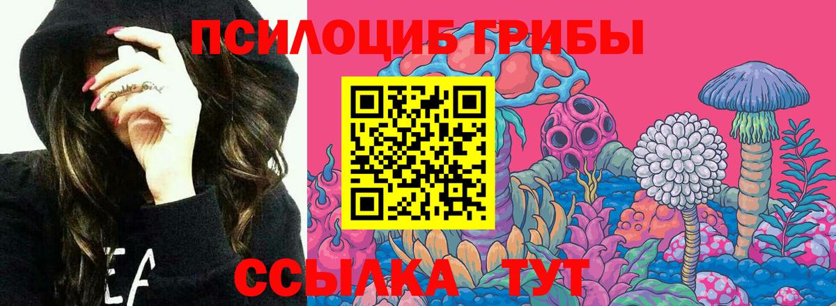 Рубцовск  Галлюциногенные грибы Magic Shrooms  Вход с VPN 
