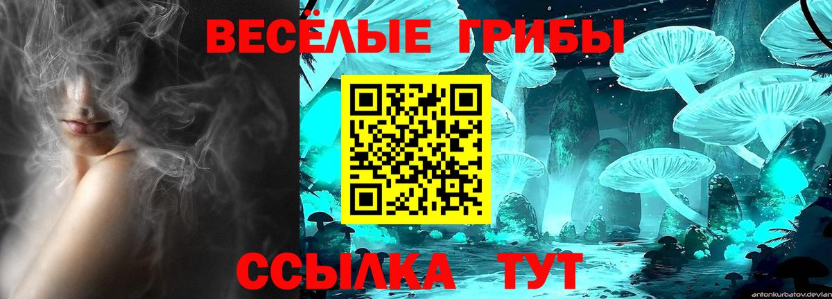 Галлюциногенные грибы ЛСД Рубцовск